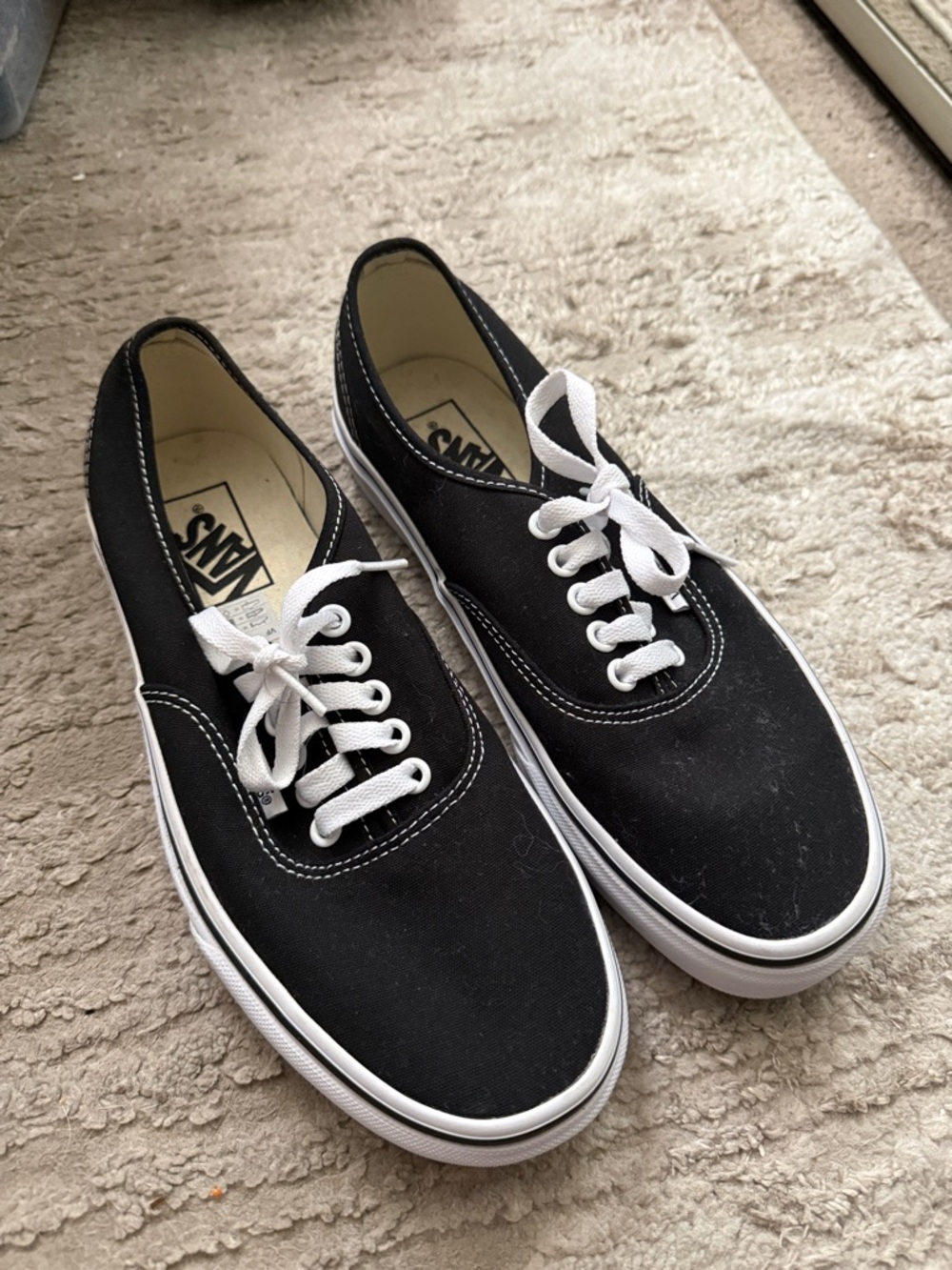 Vans Black Canvas Low-Top Sneakers with White Laces